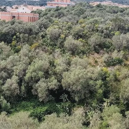 Casa Luana *